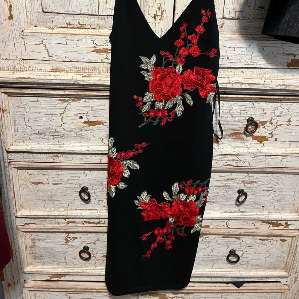 Angel Biba Rose Bodycon dress